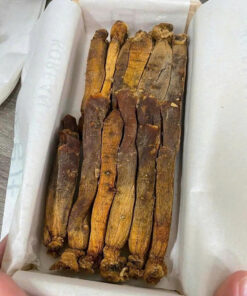 z7073277733170 d18757db7d1e139a51b732baac7b5513